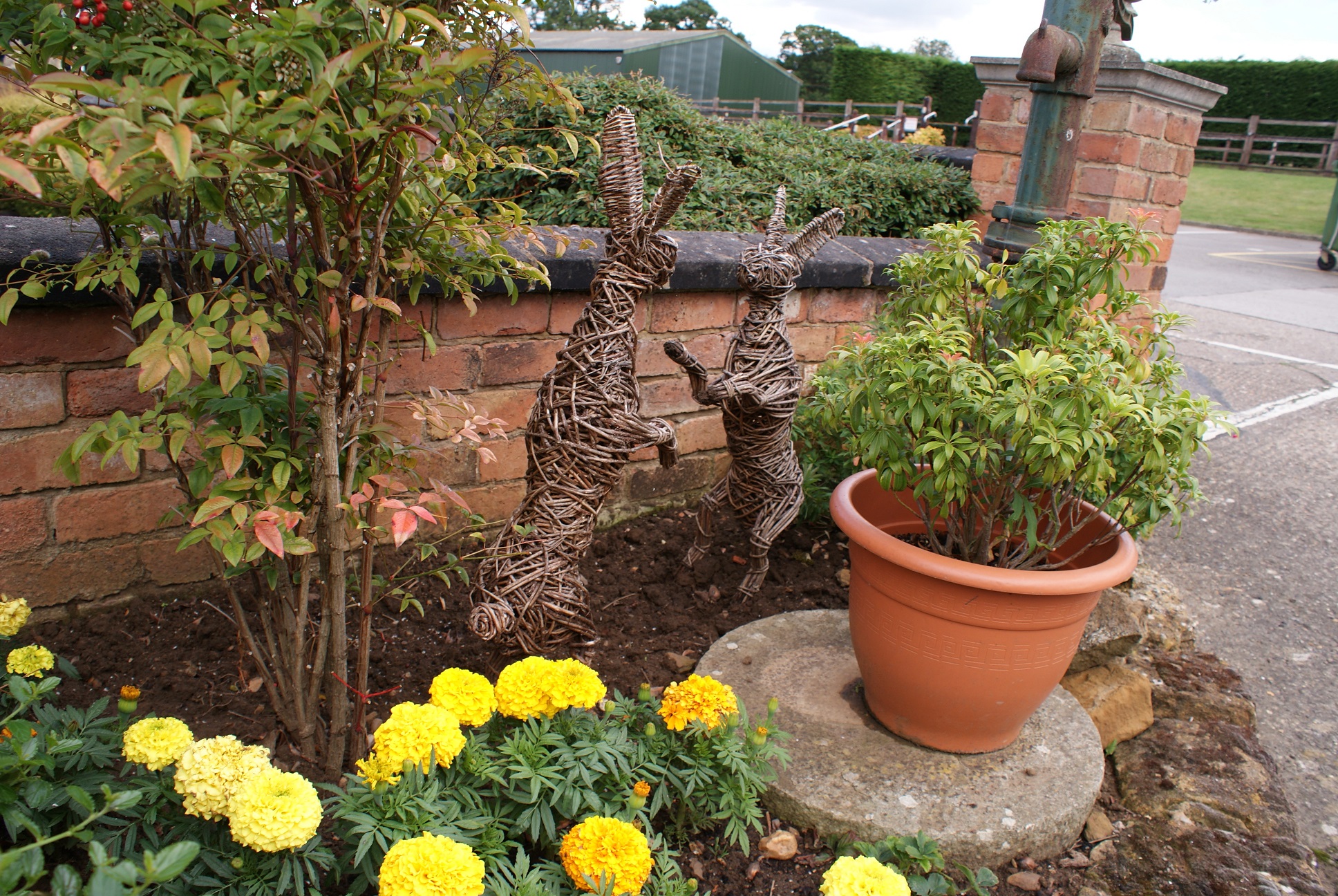 Planted area with hare's statue